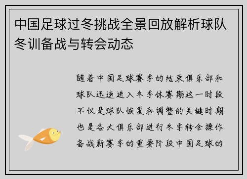 中国足球过冬挑战全景回放解析球队冬训备战与转会动态