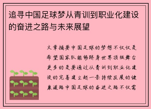 追寻中国足球梦从青训到职业化建设的奋进之路与未来展望